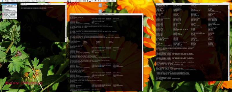 gallery_20992_1_1224.jpg