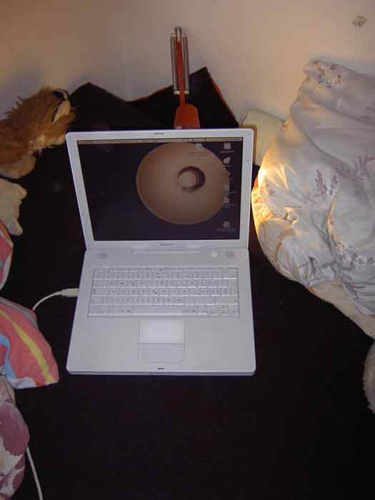 gallery_29442_11_5122.jpg