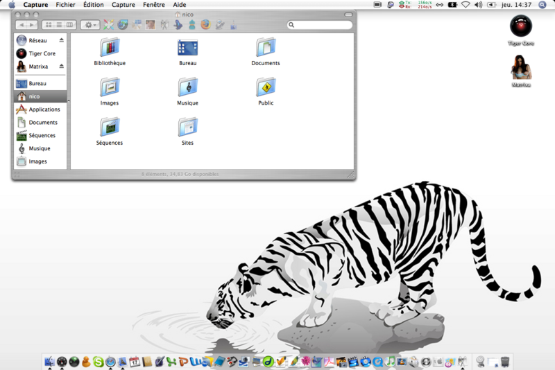 gallery_35103_1_269234.png