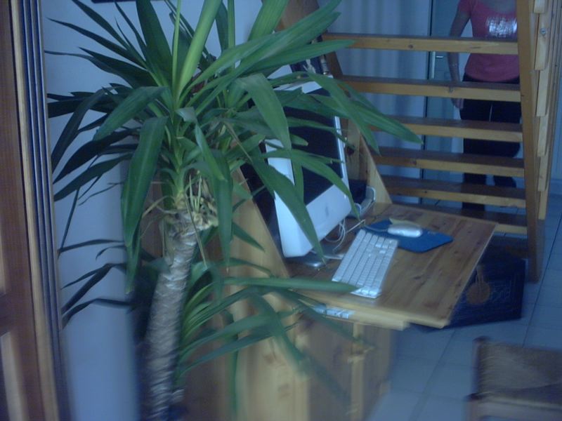 gallery_20441_6_42708.jpg