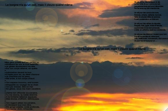 gallery_48978_9_80290.png