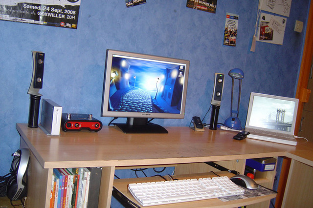 gallery_51992_3_122859.jpg