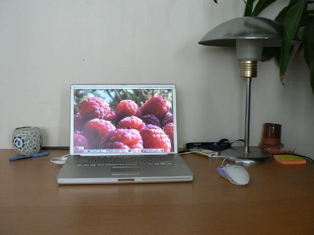 gallery_35263_3_11953.jpg