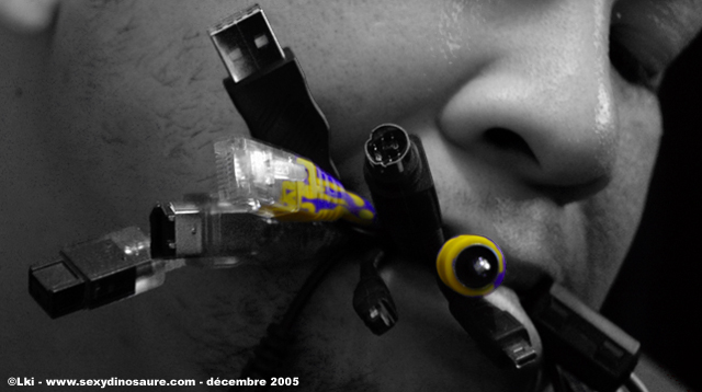gallery_58940_5_49945.jpg