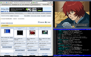 gallery_43206_1_59095.png