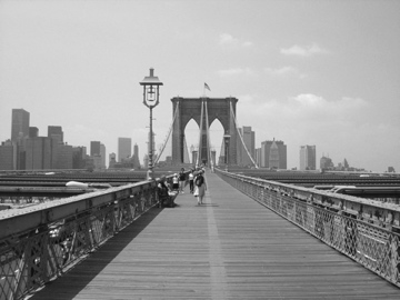 gallery_77728_13_30778.jpg