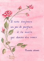 gallery_60606_9_11345.jpg