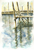 gallery_60606_9_5837.jpg