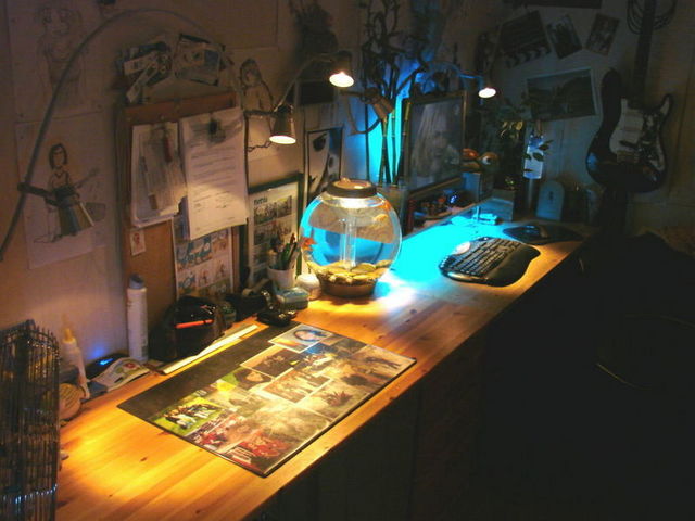gallery_91298_6_5588.jpg