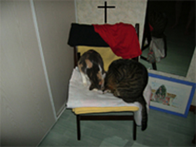 gallery_60606_13_72429.jpg