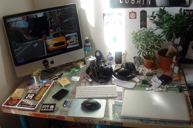 gallery_42992_6_421.jpg